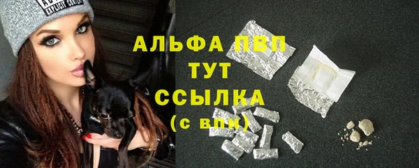 Альфа ПВП Арсеньев