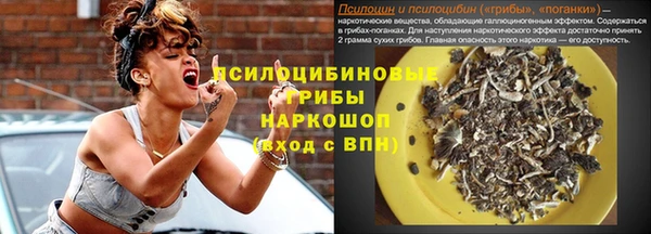 Альфа ПВП Арсеньев