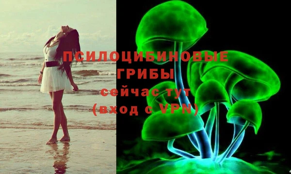 сатива Семёнов